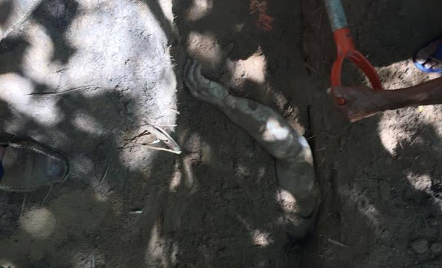 Corpo é encontrado em cova rasa